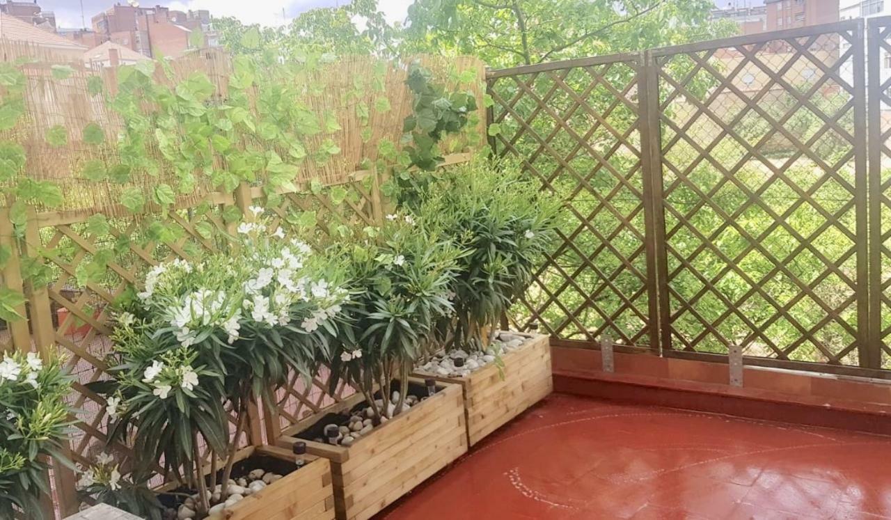 Apartamento San Quirce - Centrico Y Reformado- Wifi Y Netflix バリャドリド エクステリア 写真