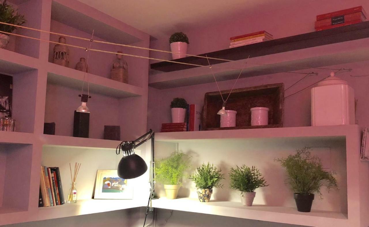 Apartamento San Quirce - Centrico Y Reformado- Wifi Y Netflix バリャドリド エクステリア 写真